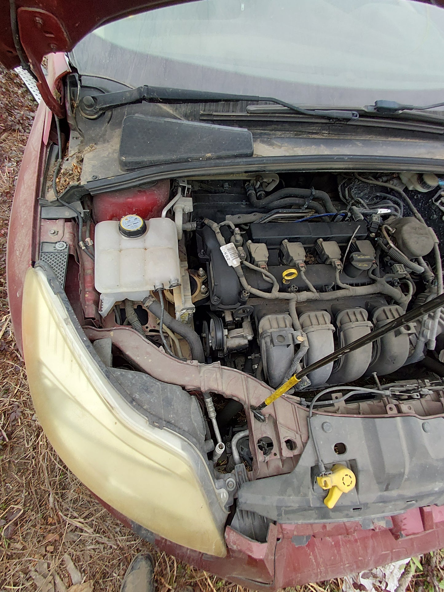 2014 FORD FOCUS - STOCK #: M18516