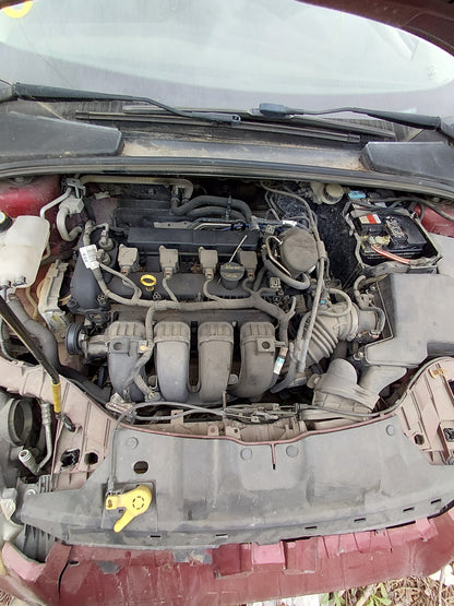 2014 FORD FOCUS - STOCK #: M18516