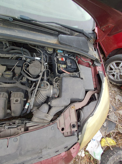 2014 FORD FOCUS - STOCK #: M18516