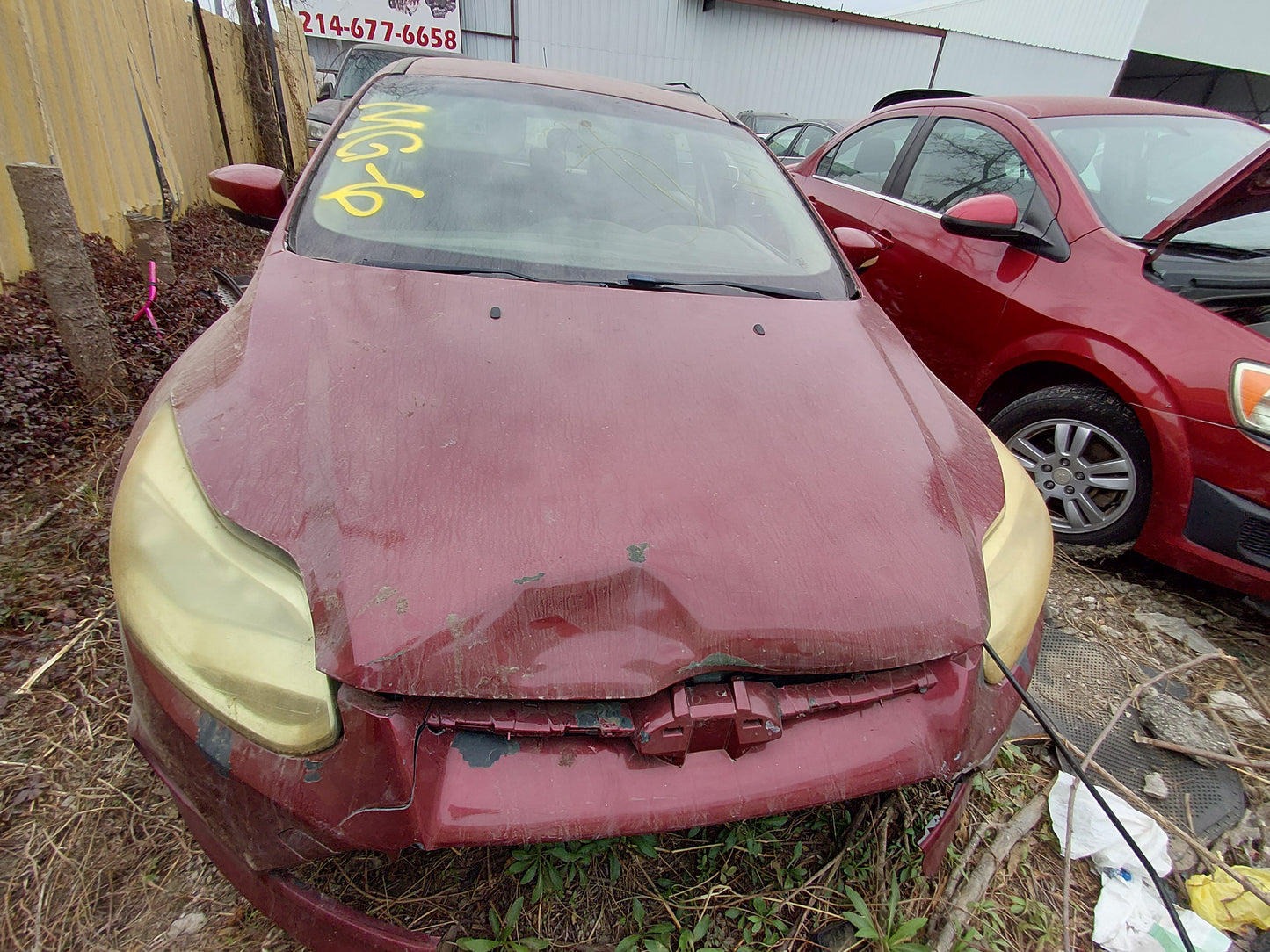 2014 FORD FOCUS - STOCK #: M18516