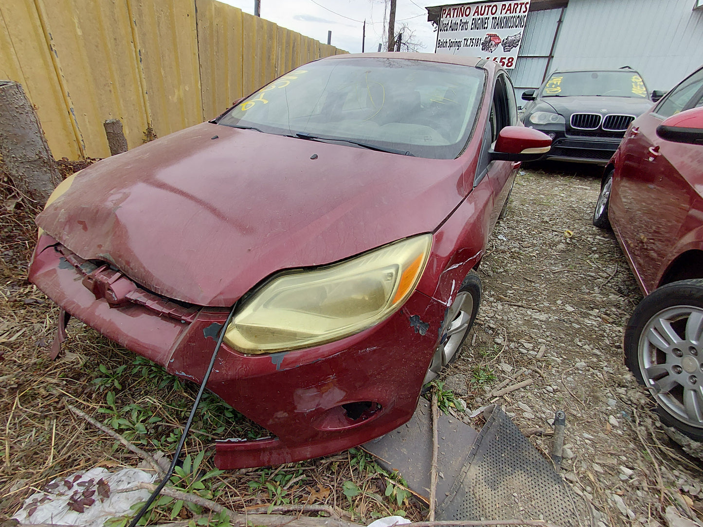 2014 FORD FOCUS - STOCK #: M18516