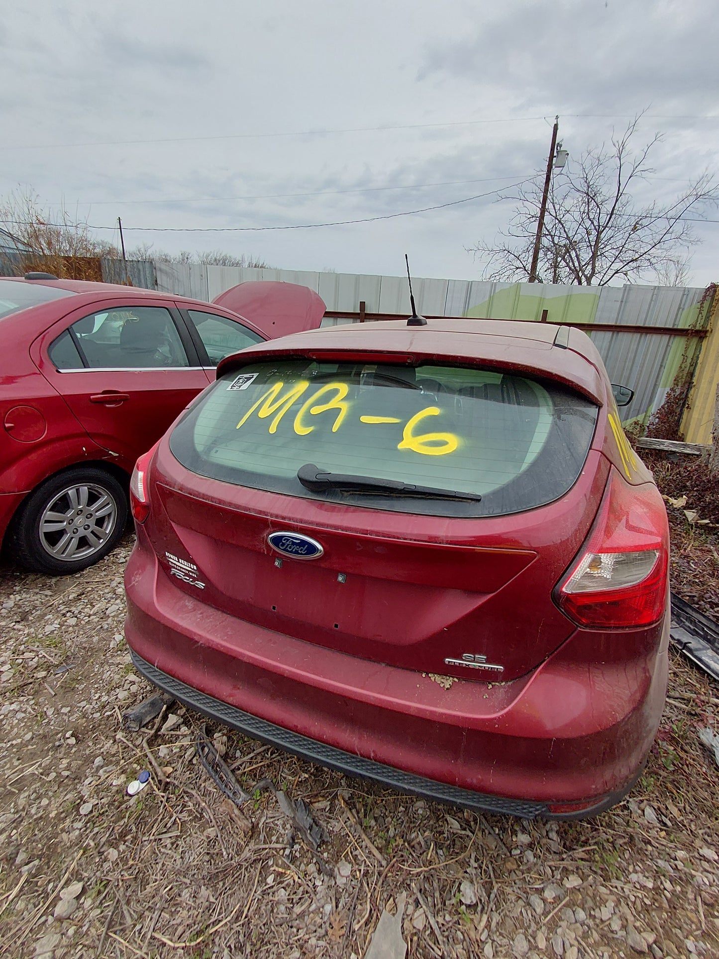 2014 FORD FOCUS - STOCK #: M18516