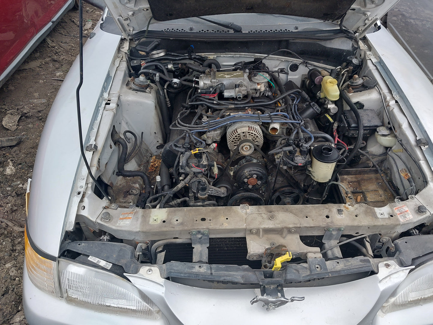 1998 Ford Mustang - Stock #: M18626 - ML-16