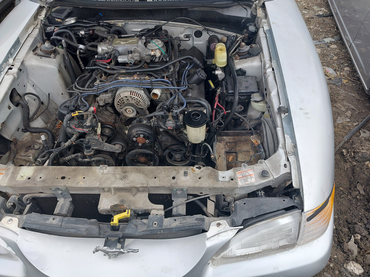 1998 Ford Mustang - Stock #: M18626 - ML-16