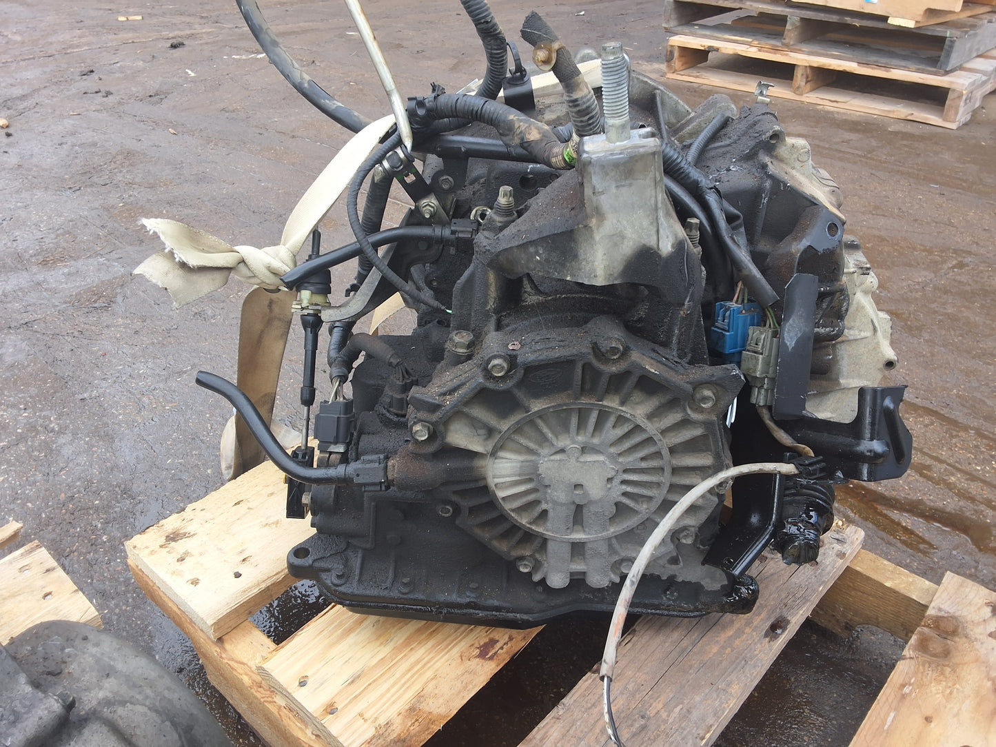 2009-2010 FORD FOCUS - AUTOMATIC TRANSMISSION - #M17795