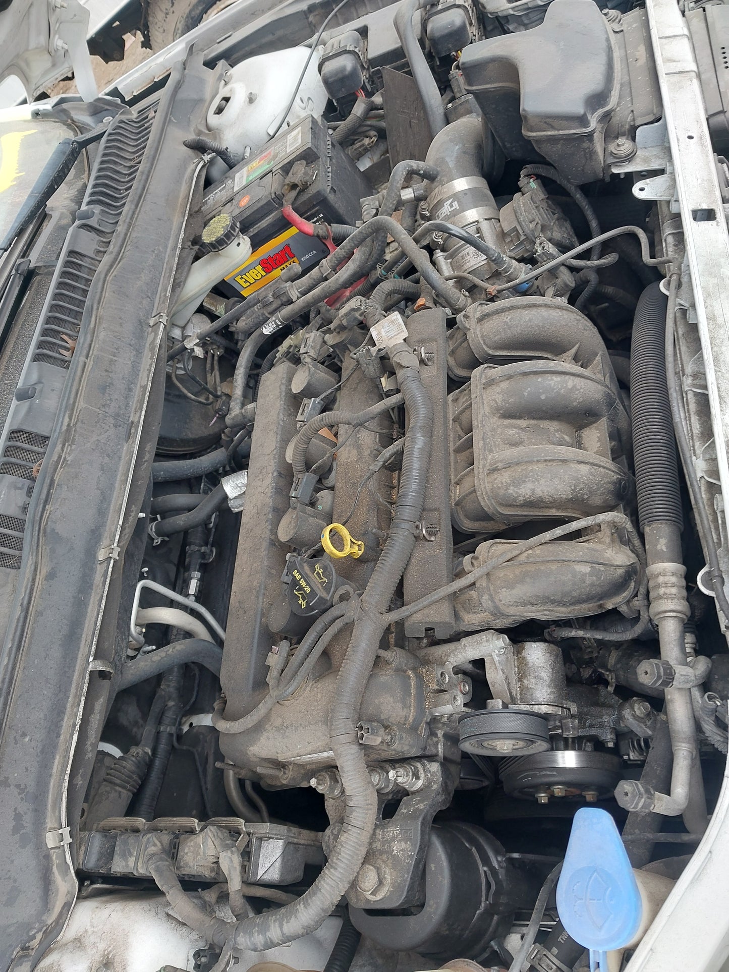 2013 FORD FUSION - STOCK # M18174