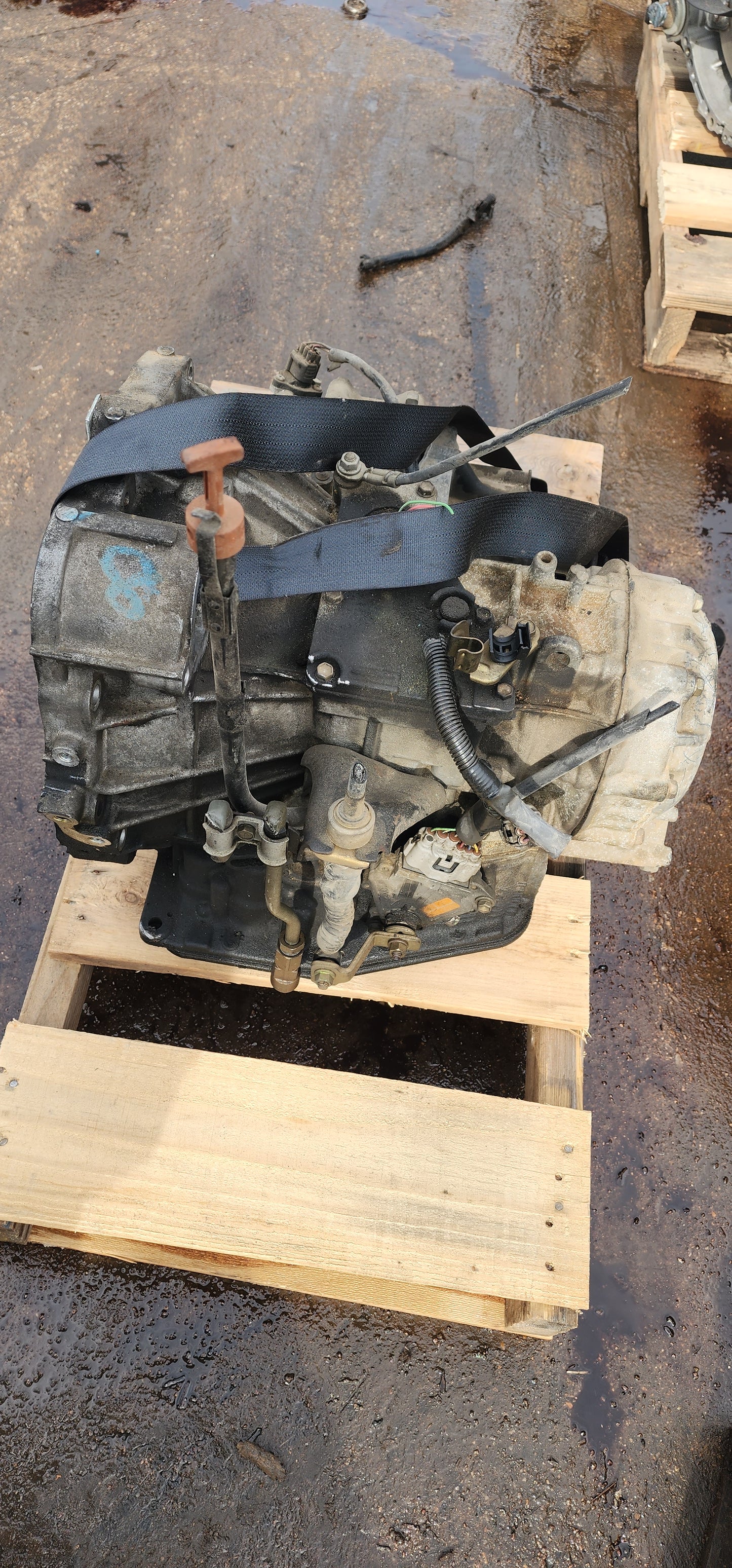 1997-2003 LEXUS ES300 - AUTOMATIC TRANSMISSION-#M17804