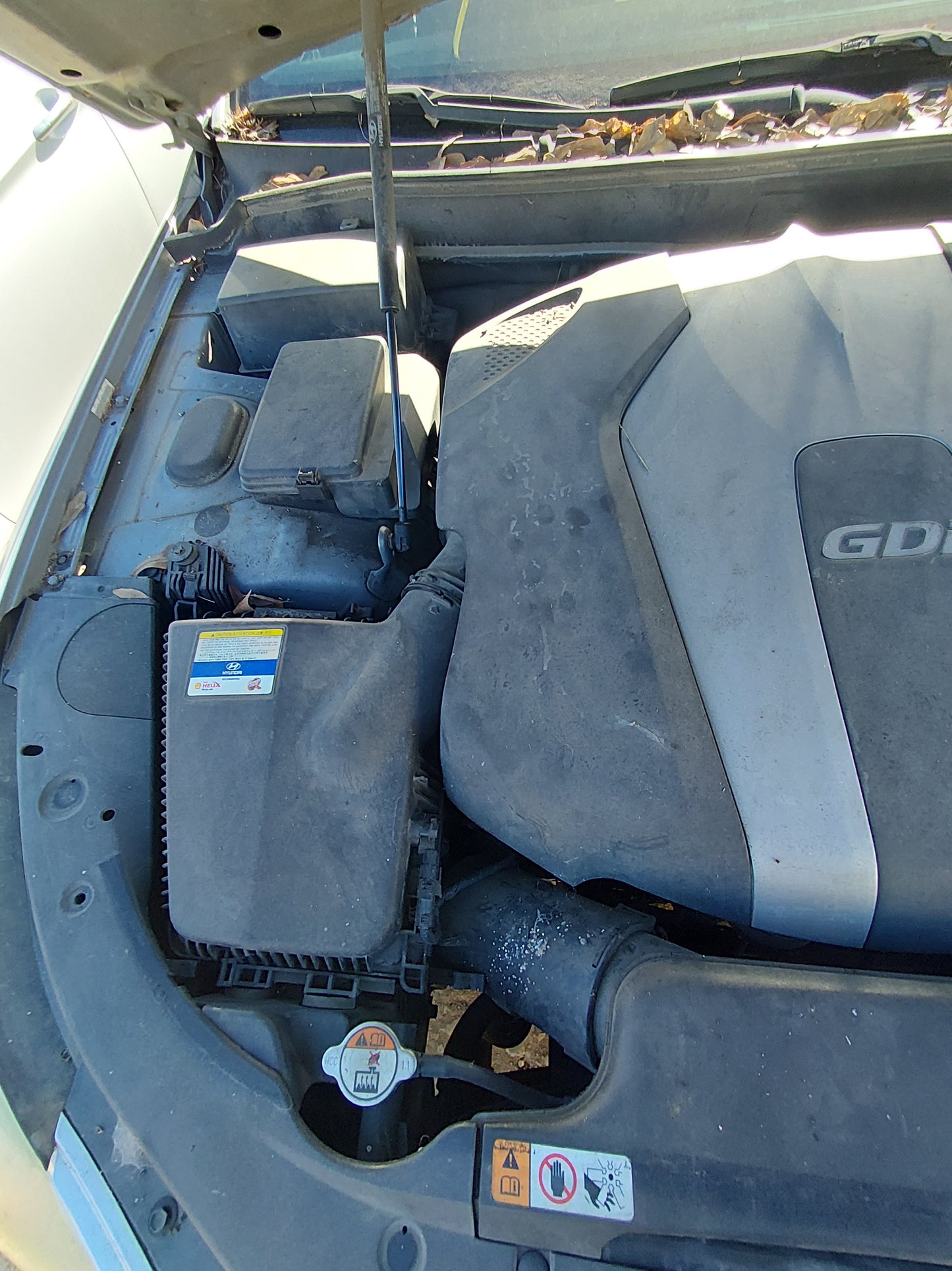 2009-2014 Hyundai Genesis - Stock #: M18373