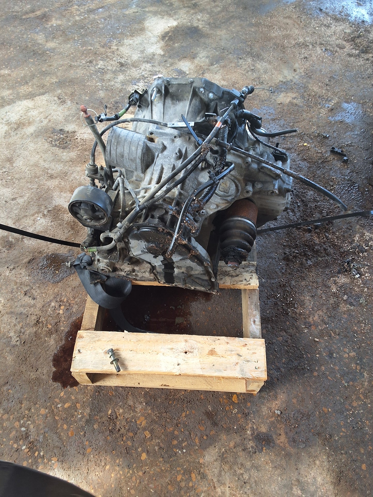 1997-1999 Nissan Sentra - Transmission -#MS1606