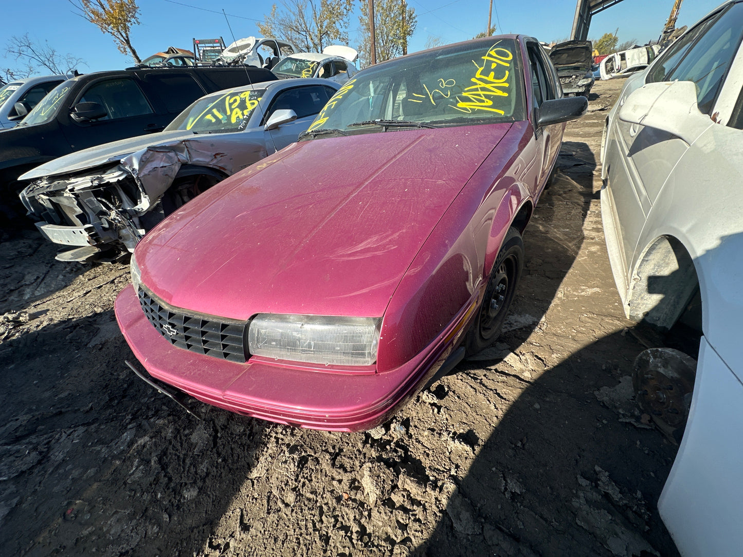 1987-1996 Chevrolet Beretta - Stock #M18160