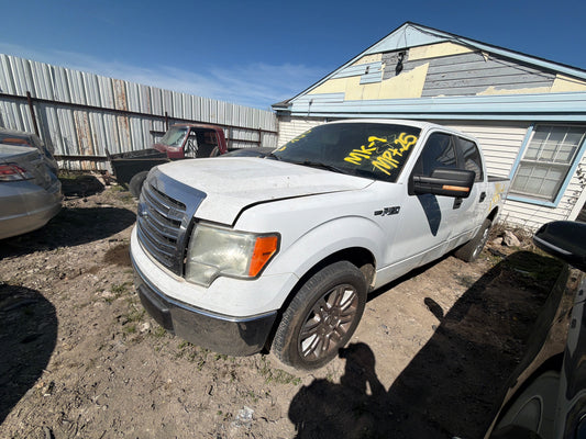 2009 FORD F150 - STOCK #M18599