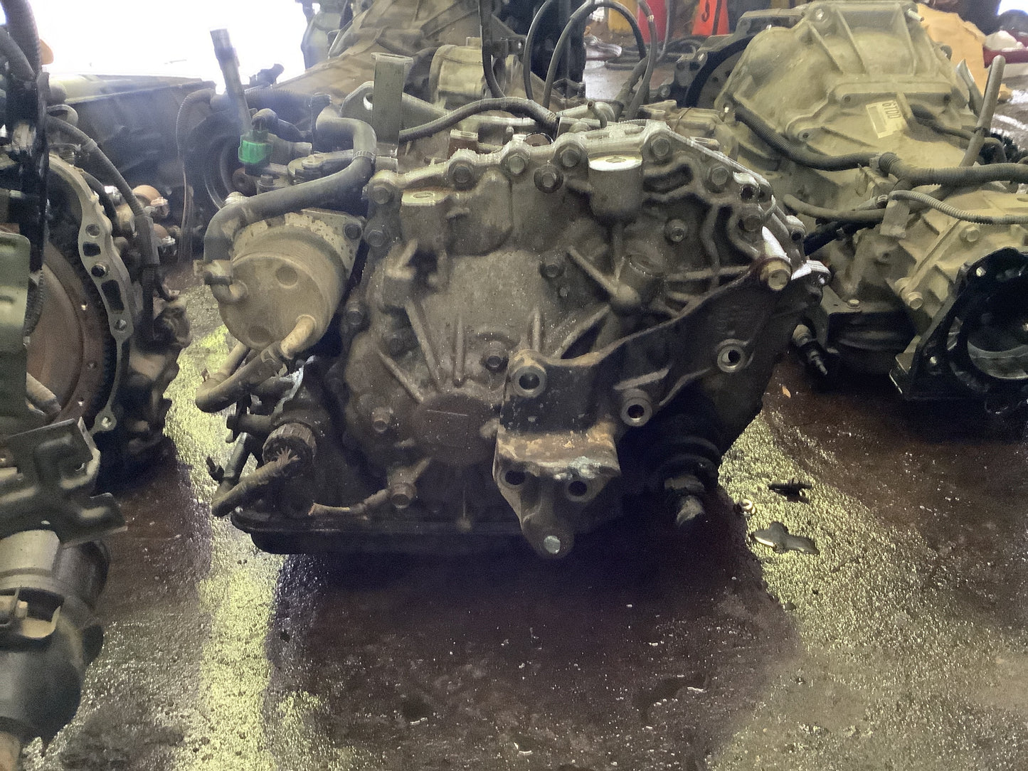 2007-2009 Nissan Sentra - Transmission -#MS1811