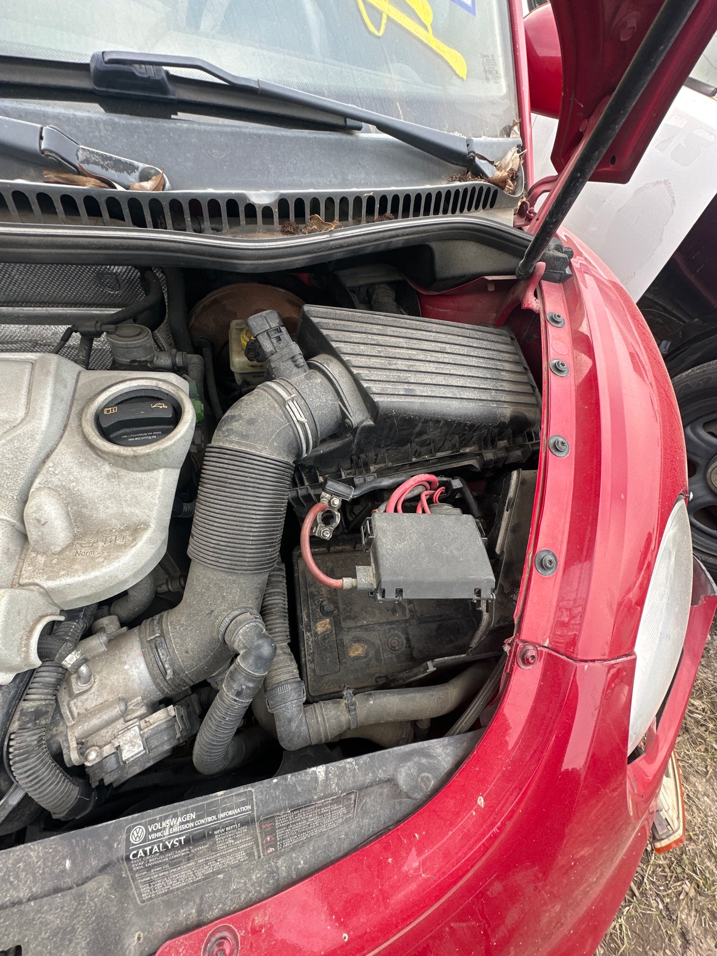 1998-2010 Volkswagen Beetle - Stock #M18222