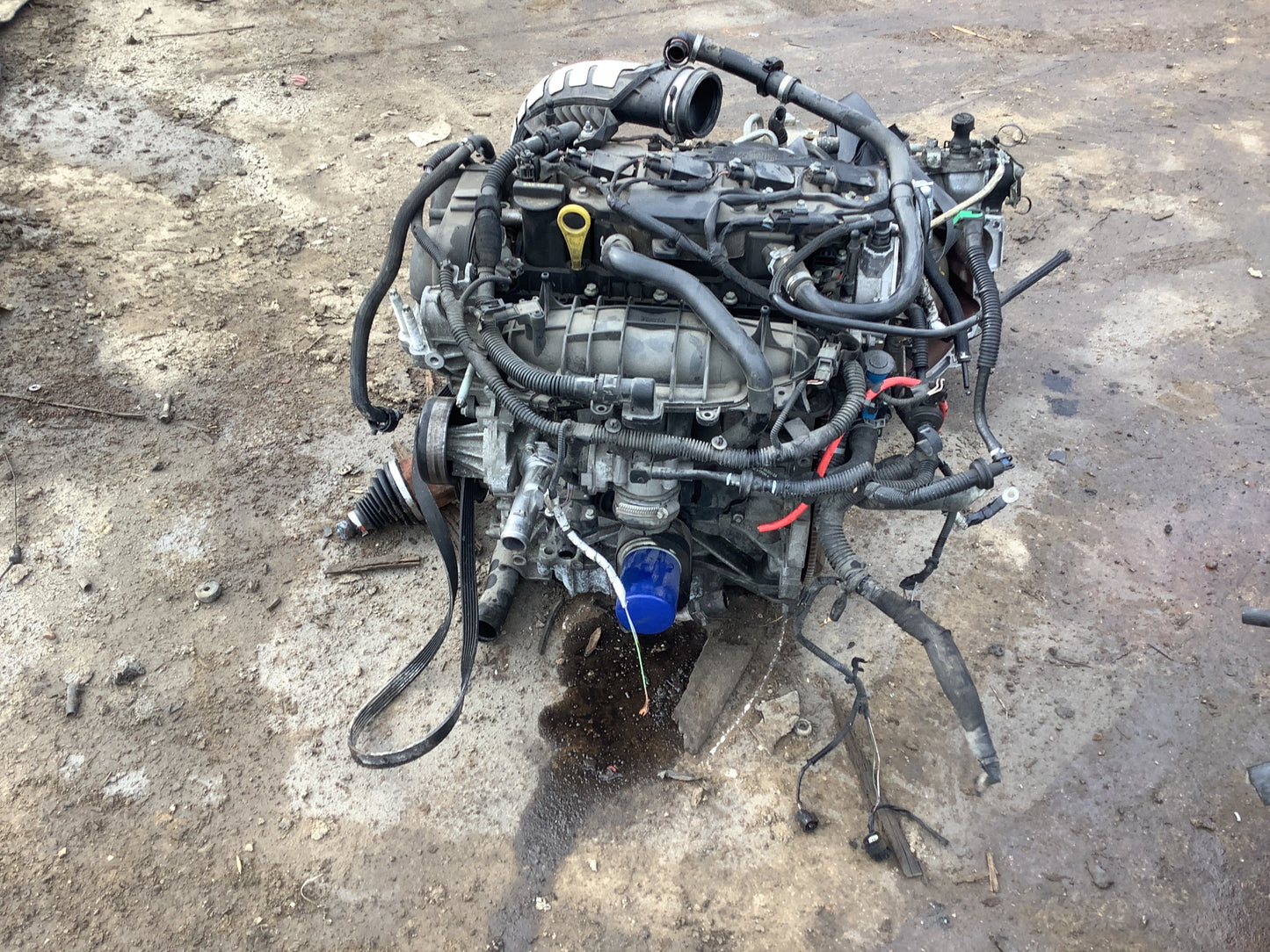2009-2011 FORD ESCAPE  - 1.8 L Engine -#M17566