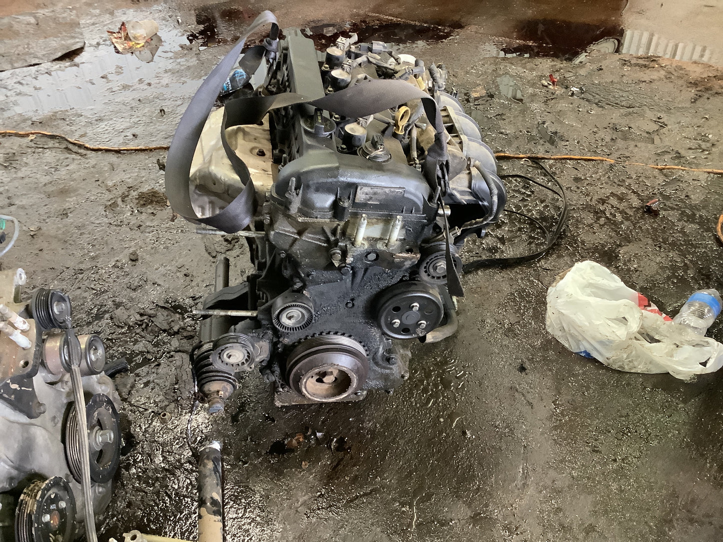 2009-2012 FORD FUION - 2.5 L Engine -#M18793