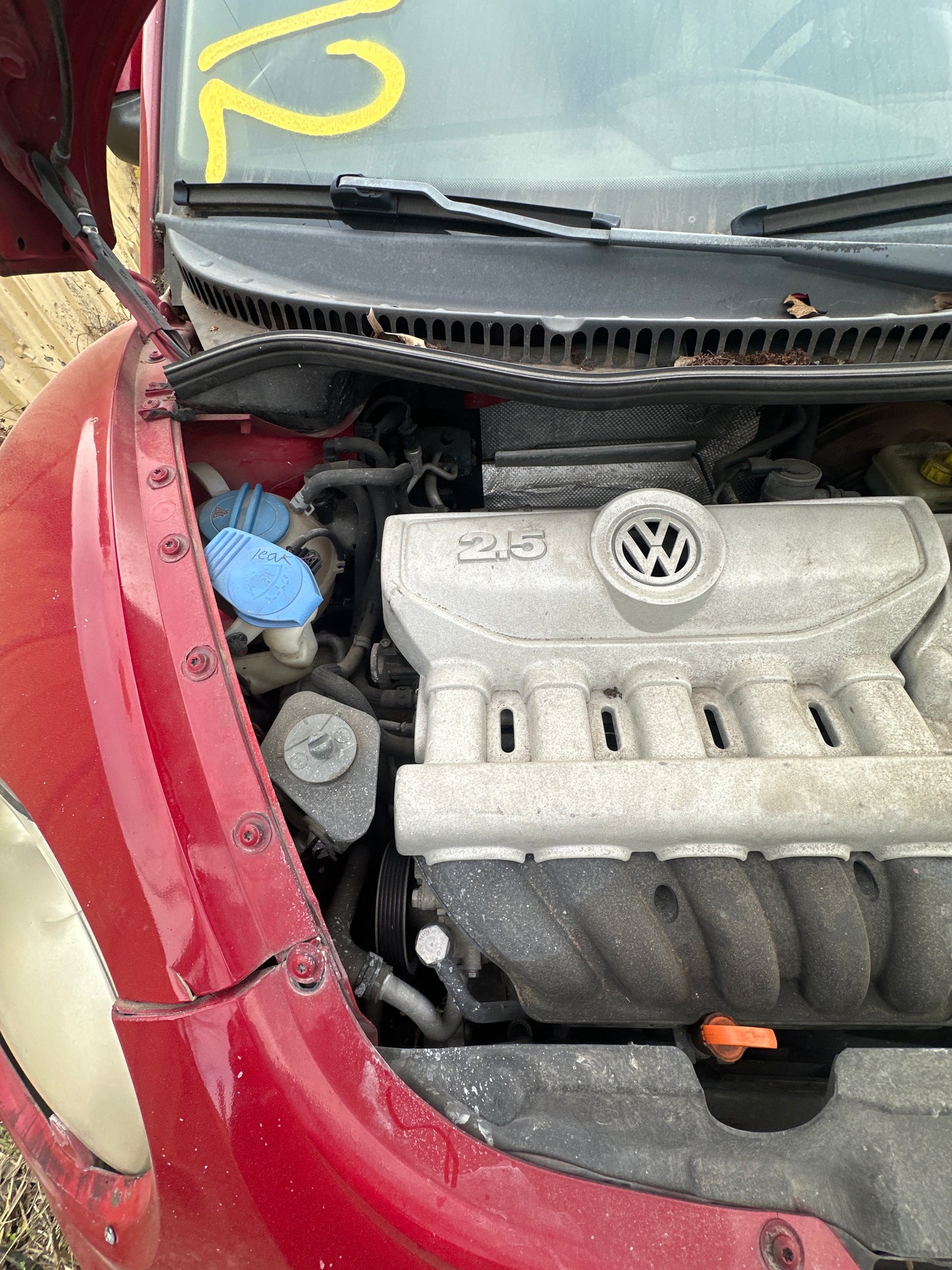 1998-2010 Volkswagen Beetle - Stock #M18222