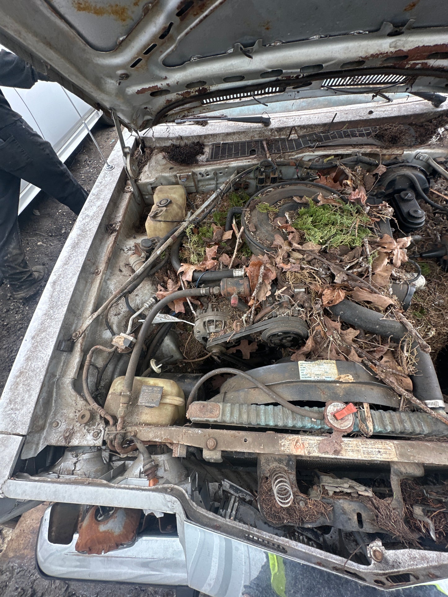 1984 CHRYSLER FIFTH AVENUE - STOCK #: M18553