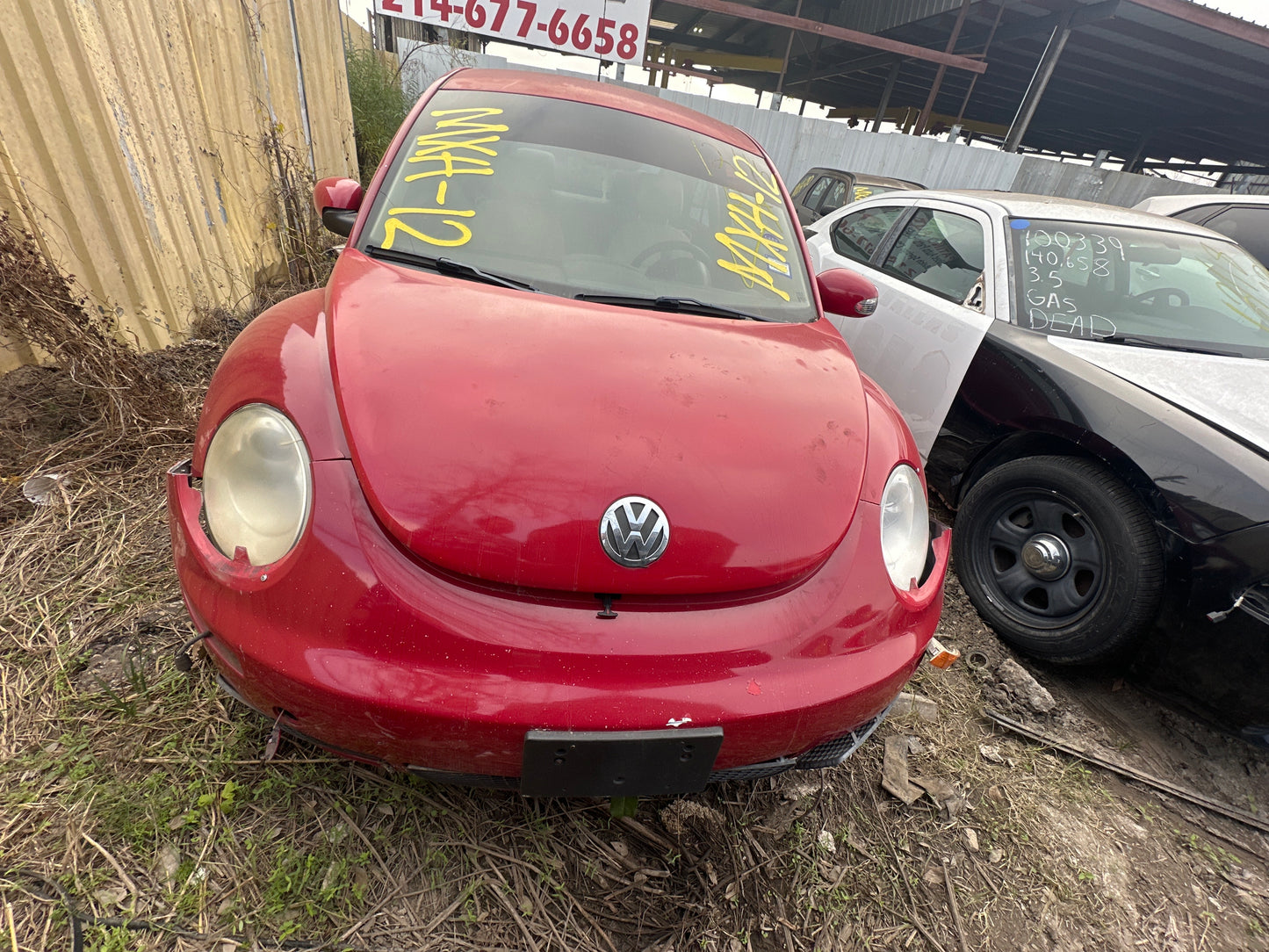 1998-2010 Volkswagen Beetle - Stock #M18222