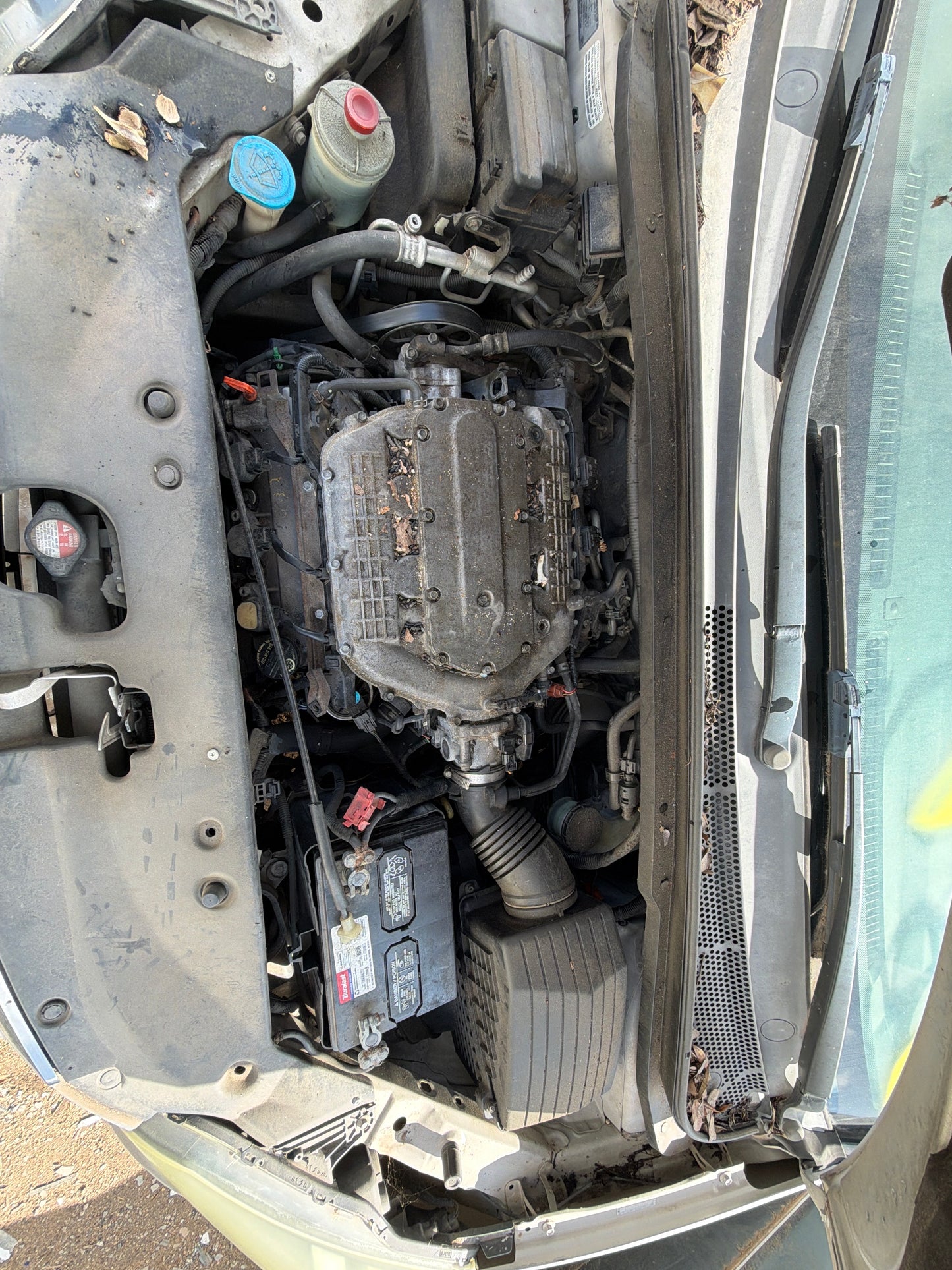 2005-2010 Honda Odyssey - Stock #: M18541