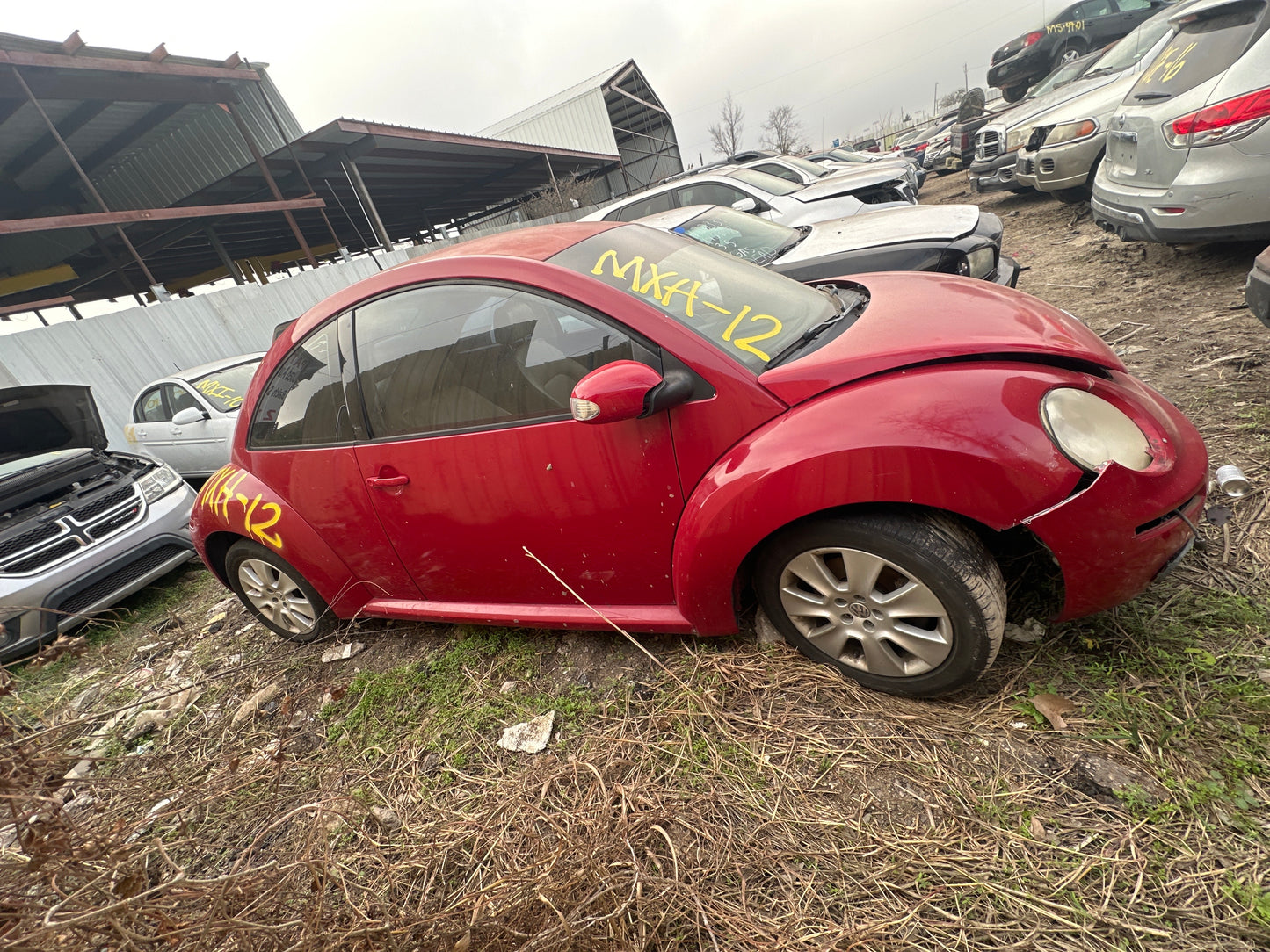 1998-2010 Volkswagen Beetle - Stock #M18222