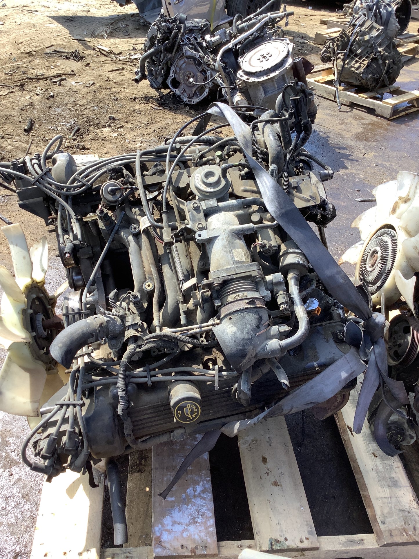 1996-1997 LINCOLN TOWN CAR  -  4.6 L ENGINE - #M18677