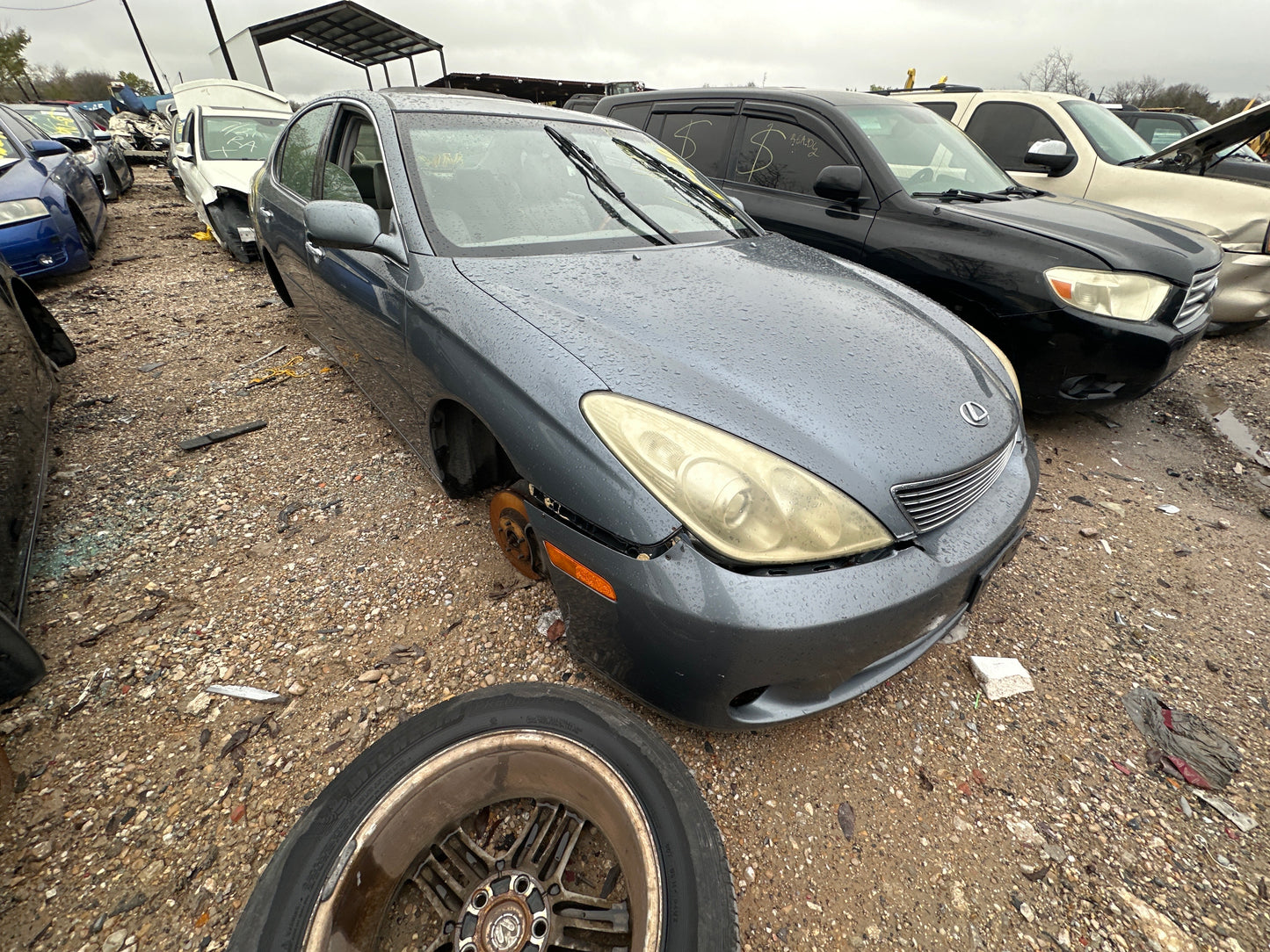 2005 Lexus ES330 - Stock #:M18024 - MV-14