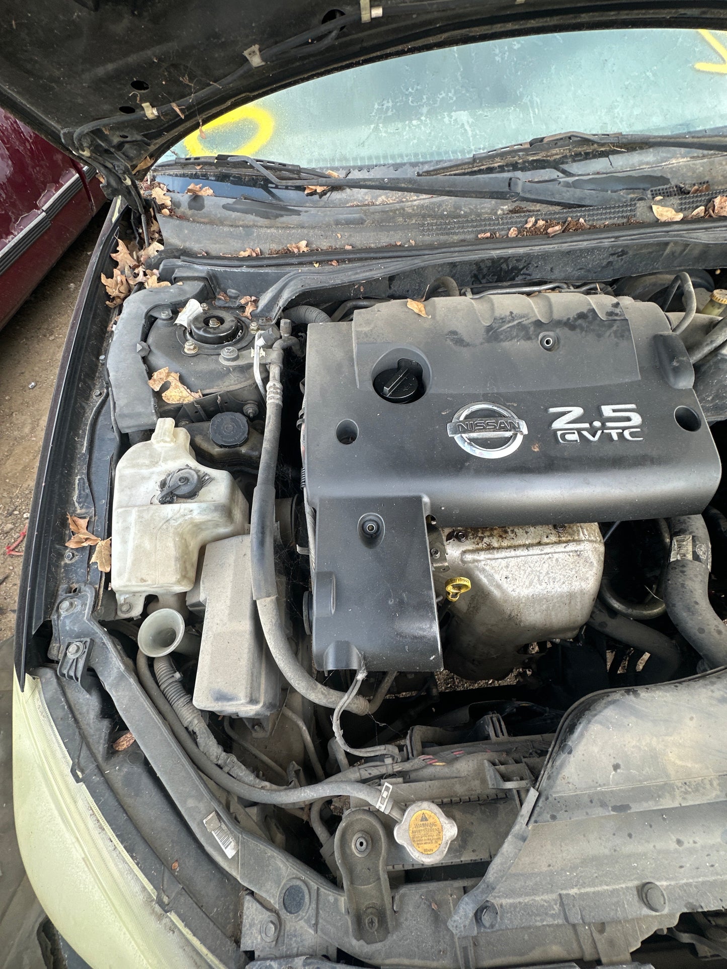 2002-2006 Nissan Altima - Stock #: M18350