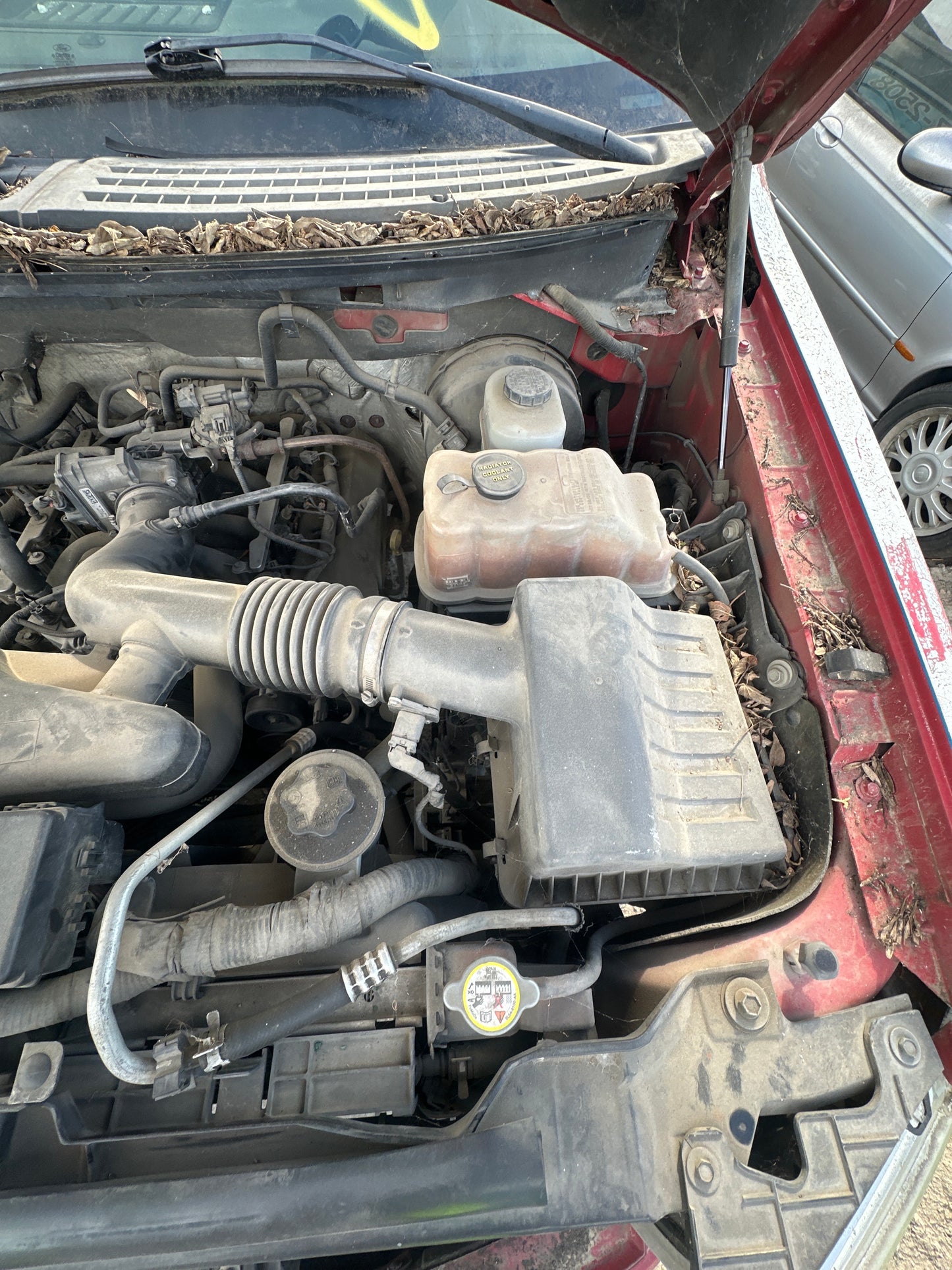 2010 FORD F150 - STOCK #: M18312