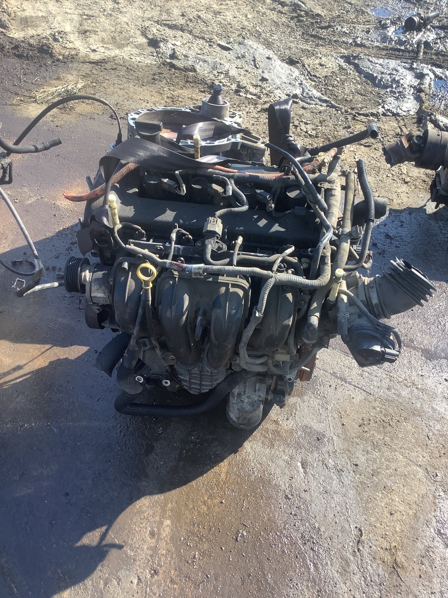 2005-2006 FORD ESCAPE - 2.3 L Engine -#MS3221