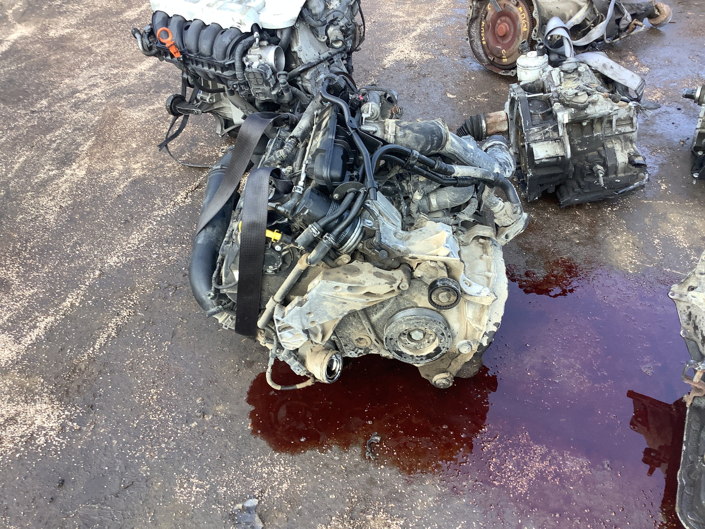 2006-2011 VOLKSWAGEN EOS - 2.5 L Engine -#M17613