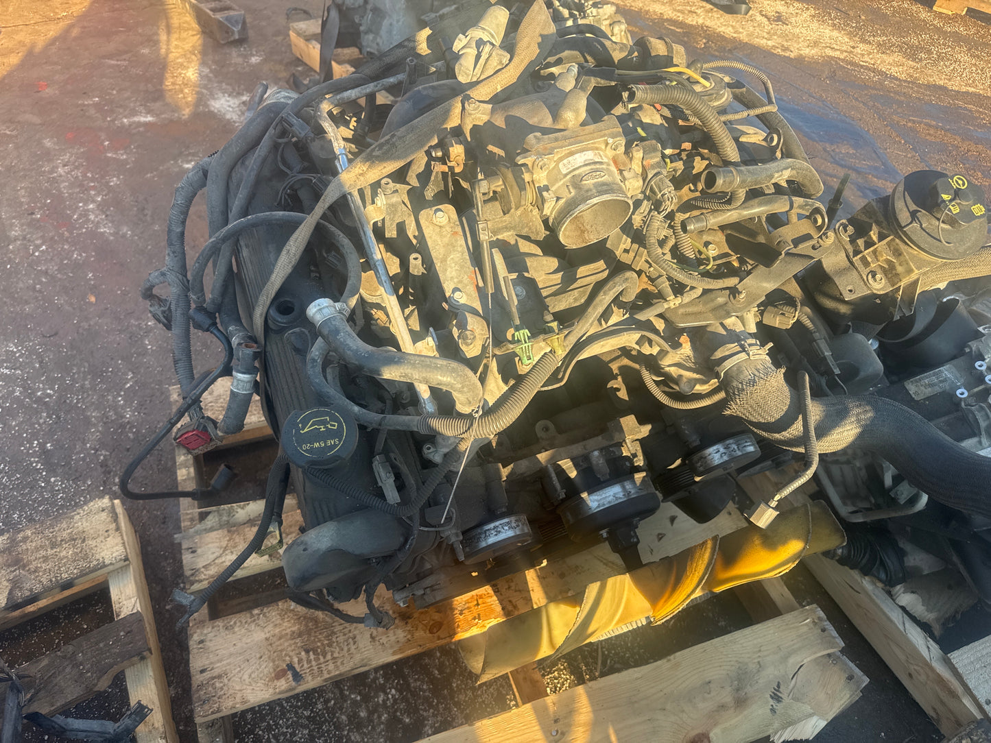 1994-1995 CHEVROLET BERETTA - 3.1 L ENGINE - # M18160