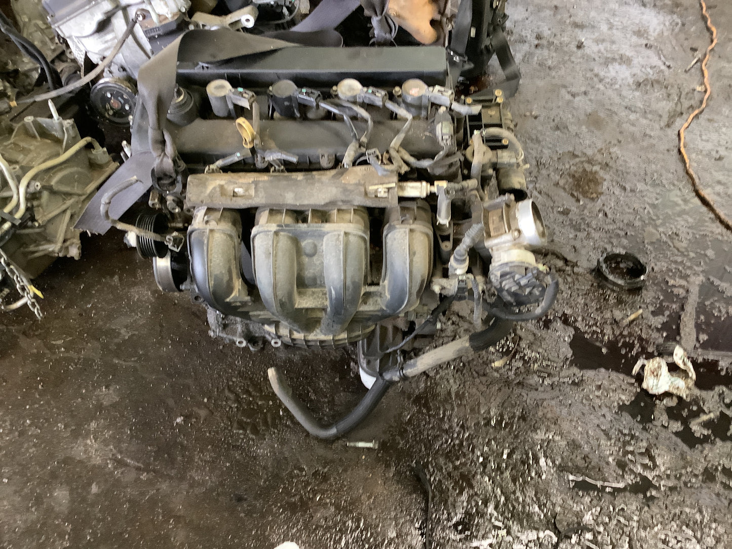 2009-2012 FORD FUION - 2.5 L Engine -#M18793