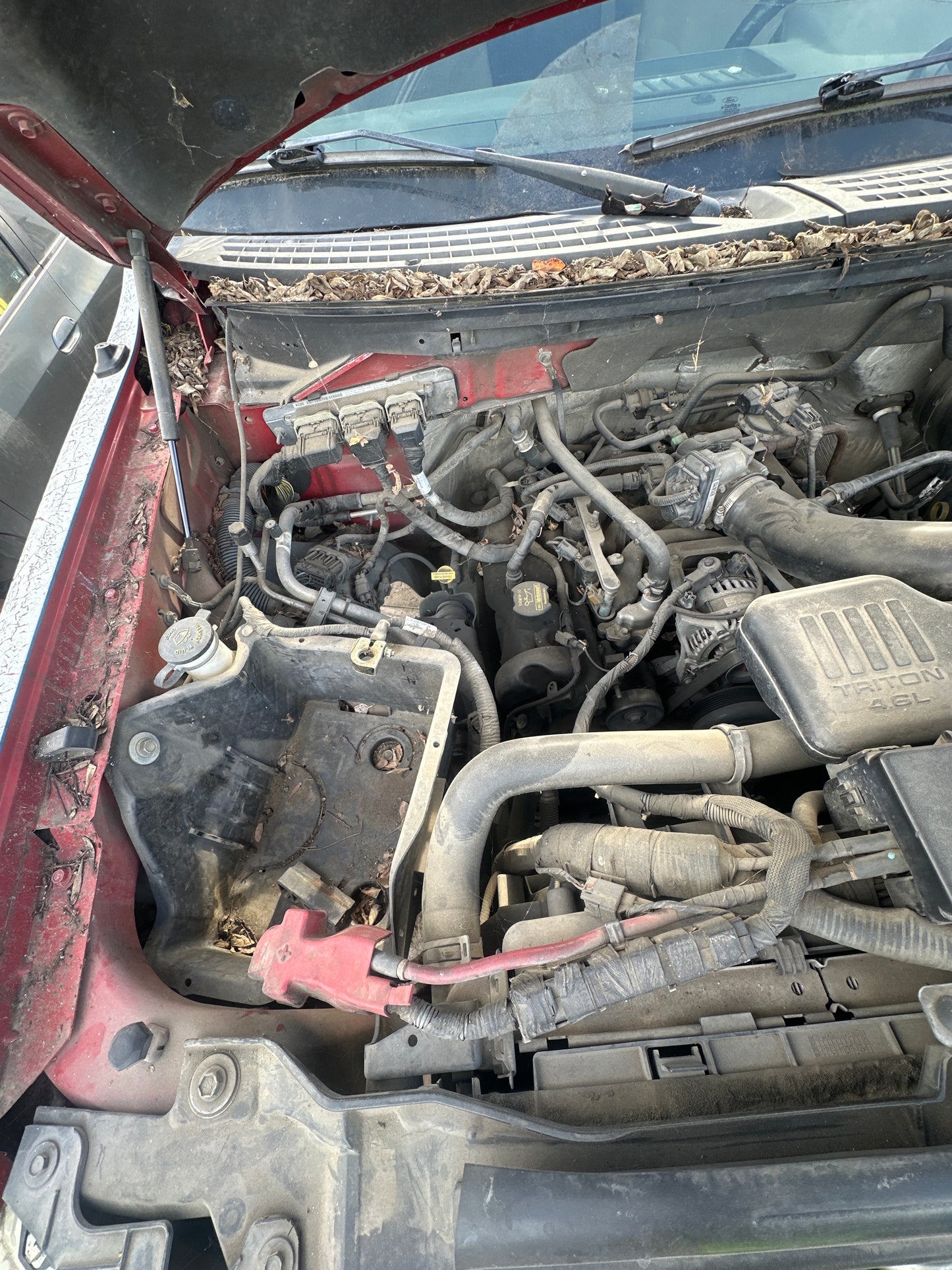 2010 FORD F150 - STOCK #: M18312