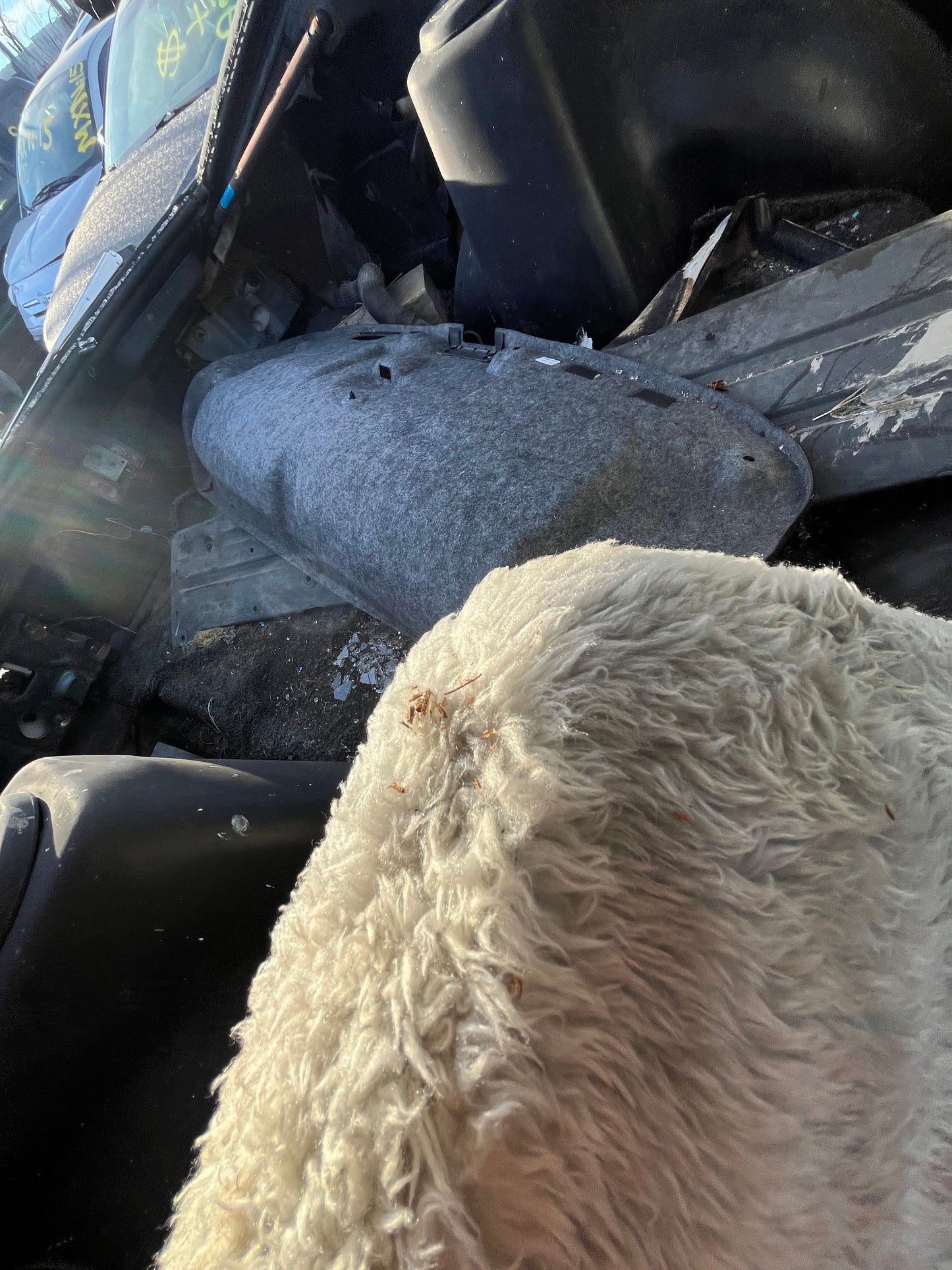 1982 - 1983 Datsun 280ZX - Stock #: M18336 MXN-6