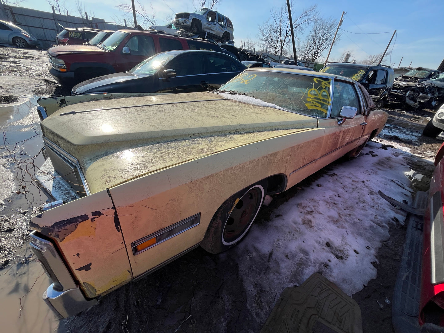 1971-1978 Cadillac Eldorado - Stock #: M18412