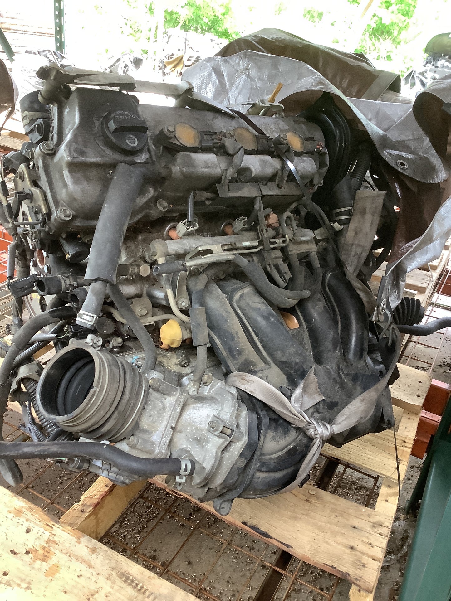 2004-2007 TOYOTA SIENNA  - 3.3 L Engine -#MS1308
