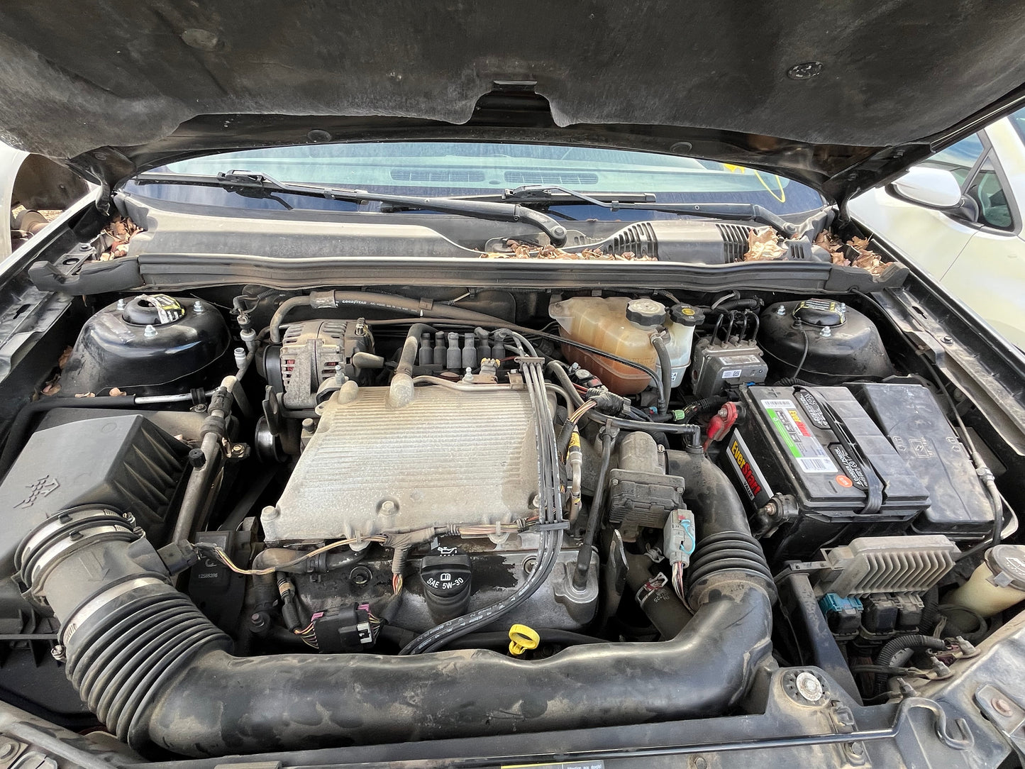 2004-2008 Chevrolet Malibu - Stock #: M18348