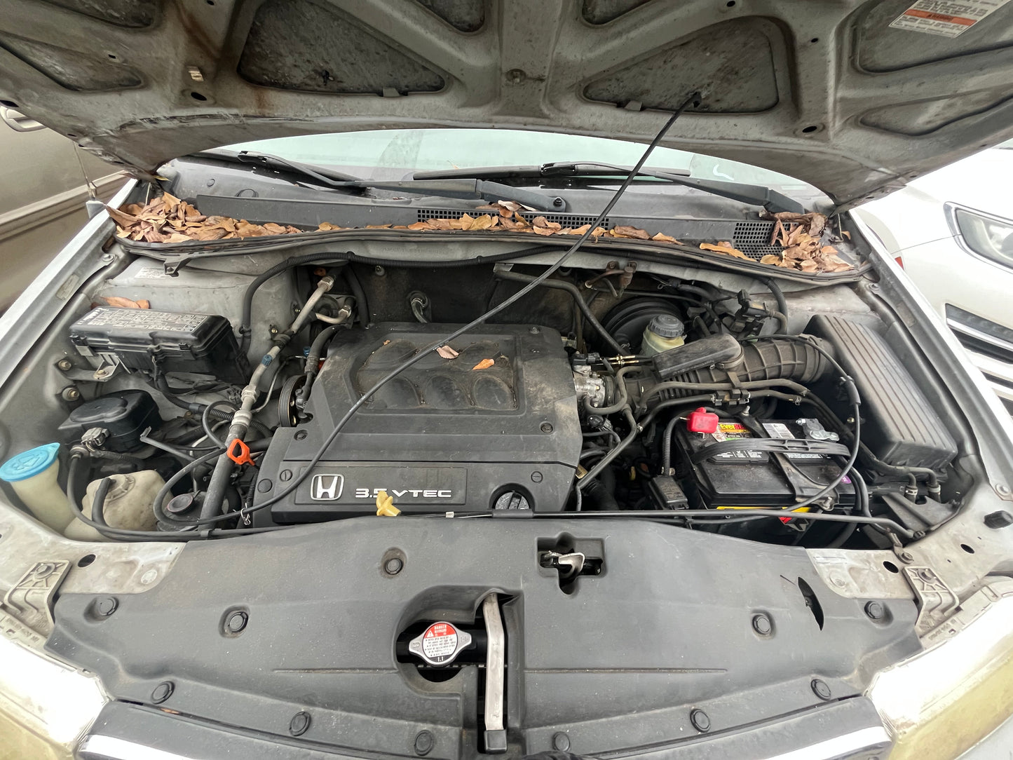 1999-2004 Honda Odyssey - Stock #: M18287