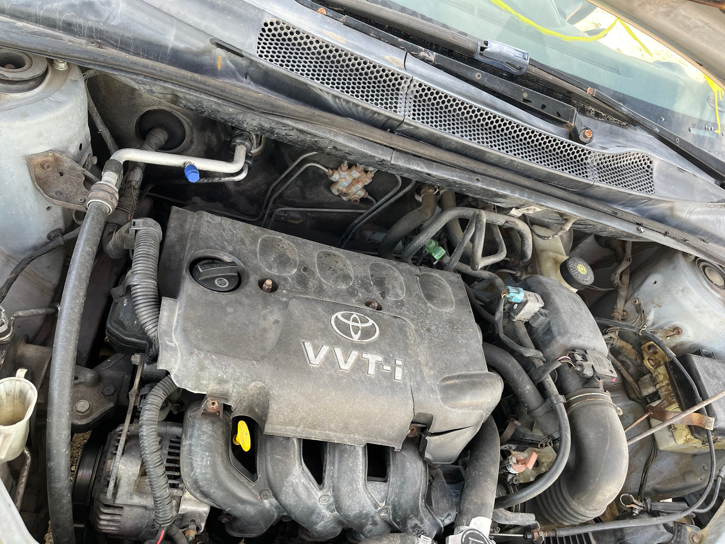 2000-2005 Toyota Echo - Stock #: M18347