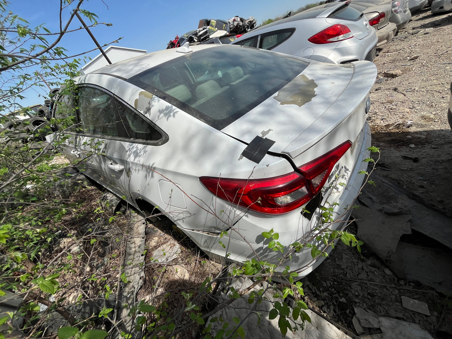 2015-2017 Hyundai Sonata - Stock #: M18738
