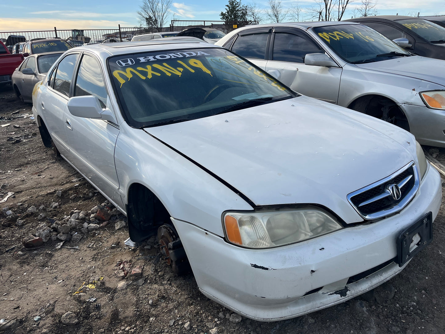 1999-2003 Acura TL - Stock #: M18349