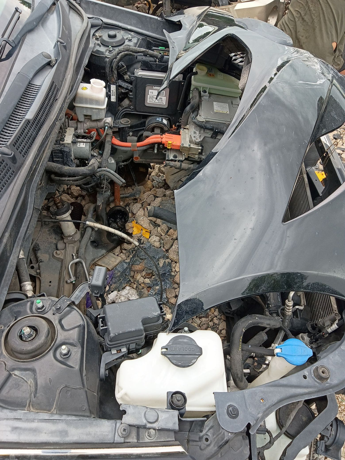 CA_VEHICLE_MEDIA:12150647549:3113039980
