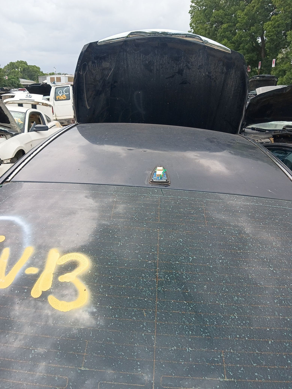 CA_VEHICLE_MEDIA:12150678737:3113000564