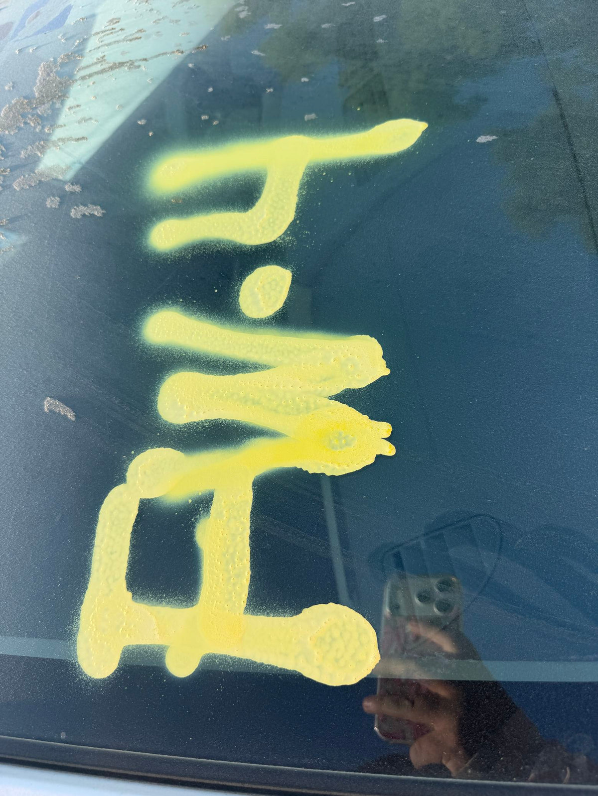 CA_VEHICLE_MEDIA:12698403753:3156580736