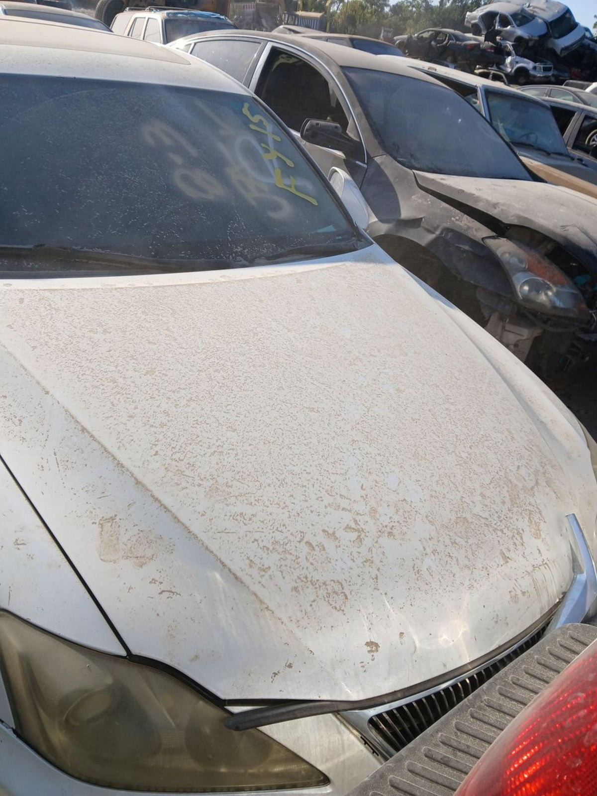 CA_VEHICLE_MEDIA:12759925733:3171582438