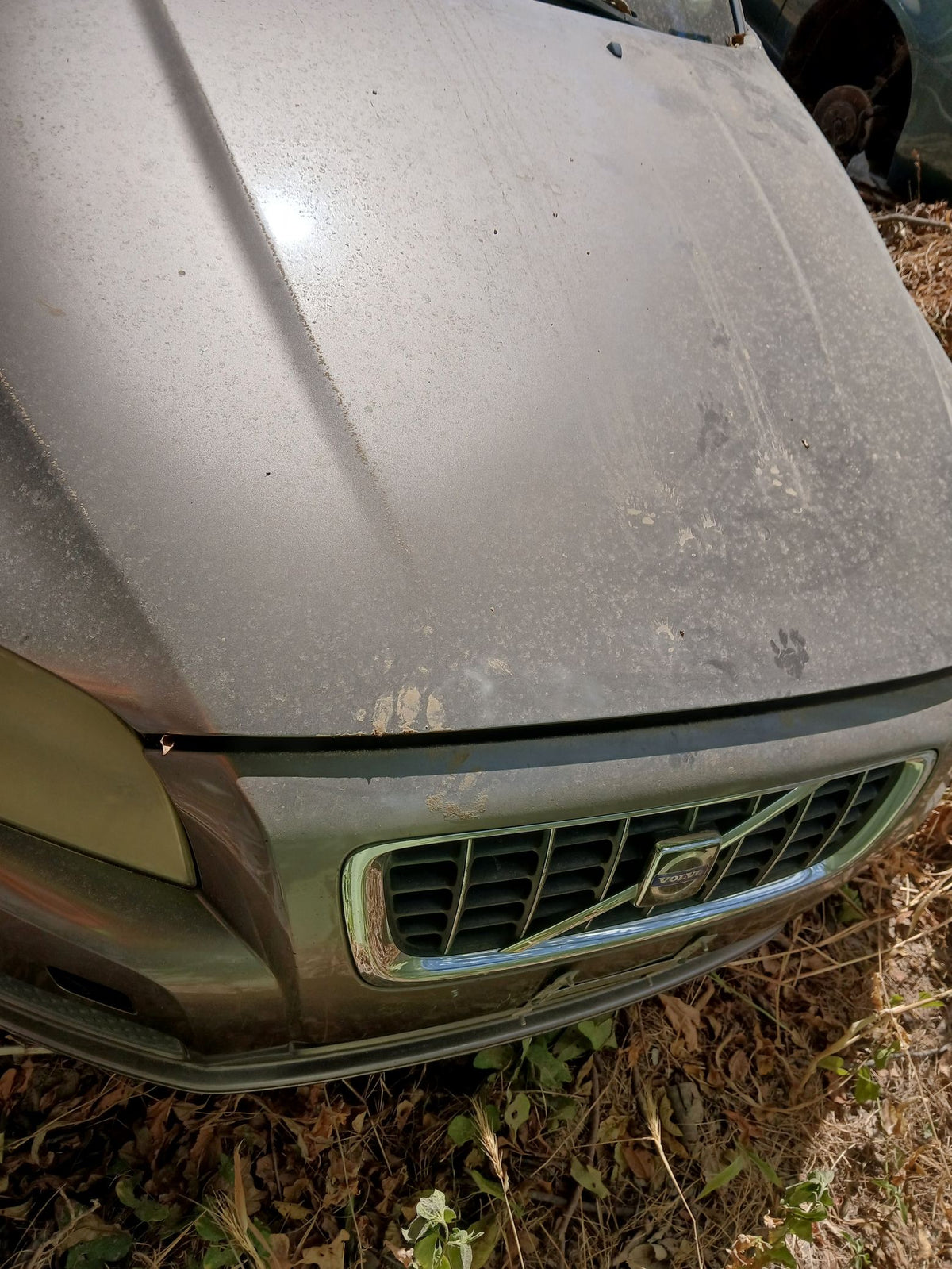 CA_VEHICLE_MEDIA:12931942638:3215055364
