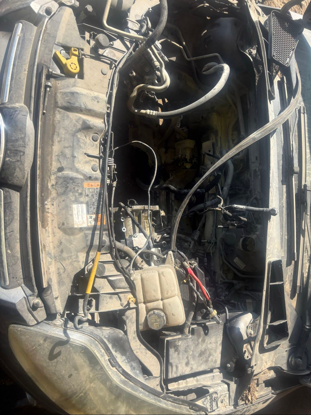CA_VEHICLE_MEDIA:13036703812:3255686594