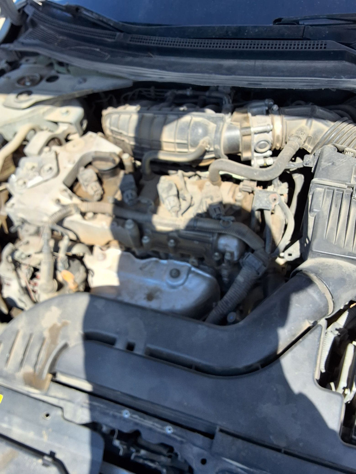 CA_VEHICLE_MEDIA:13090786227:3265083486