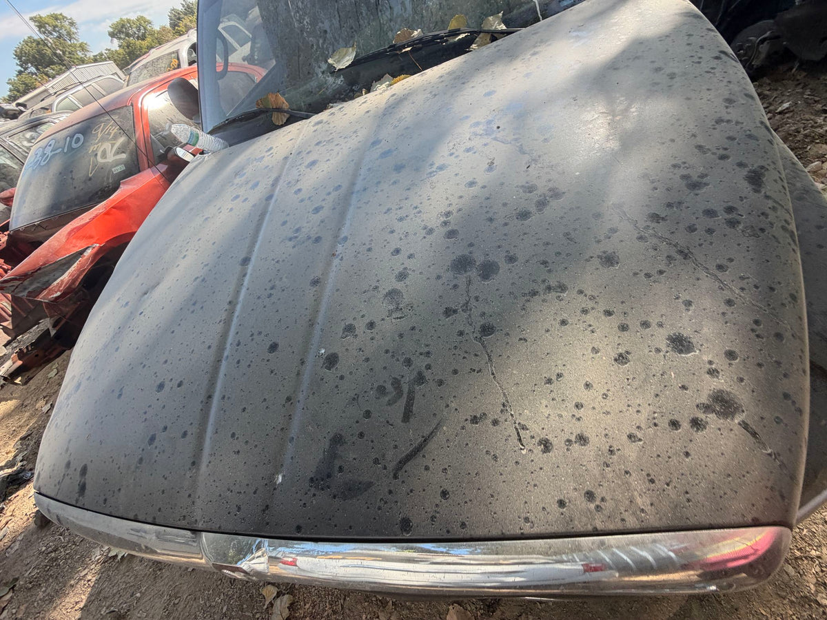 CA_VEHICLE_MEDIA:13090786661:3262666790