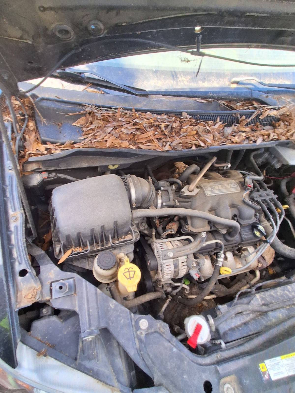 CA_VEHICLE_MEDIA:13090789646:3264703067